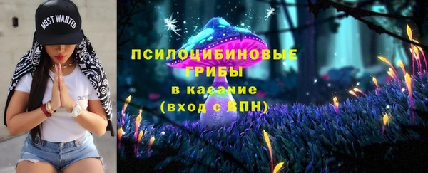 мдпв Балабаново