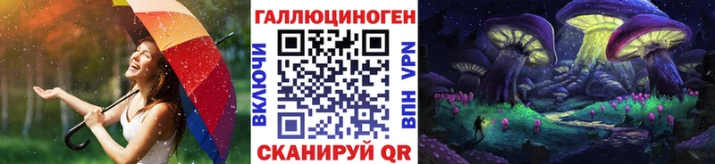 площадка состав Киреевск Галлюциногенные грибы Psilocybe