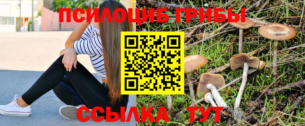 Киреевск  Псилоцибиновые грибы GOLDEN TEACHER  Вход с VPN 